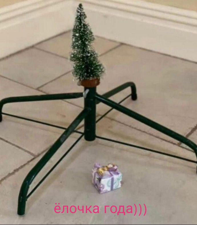 ёлочка года