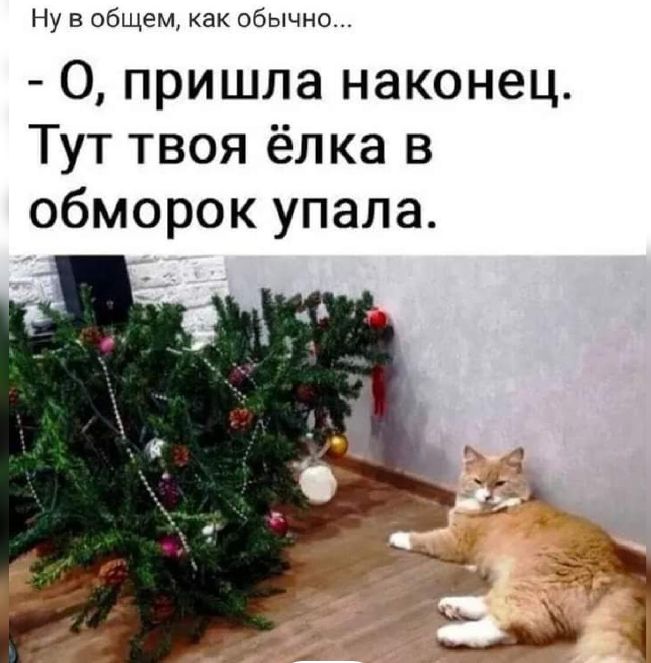Ну в общем как обычно О пришла наконец Тут твоя ёлка в обморок упала