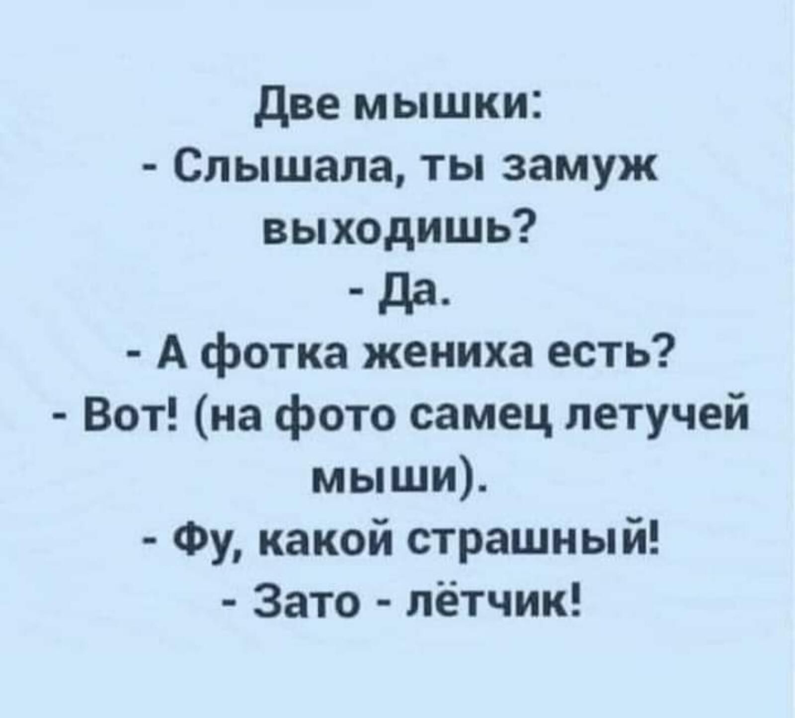две мышки Слышала ты замуж выходишь да А фотка жениха есть Вот на фото самец летучей мыши Фу какой страшный Зато лётчик