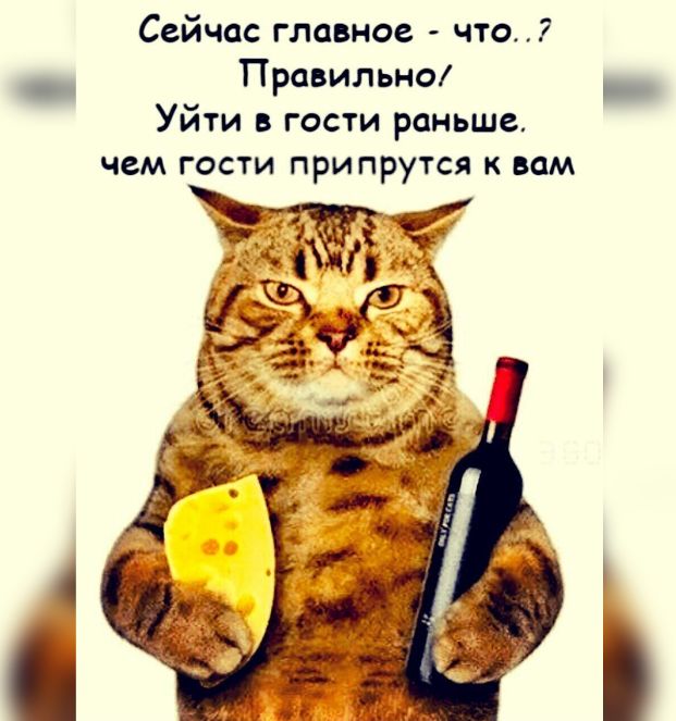 Сейчас главное что Правильно _ Уити в гости раньше чем гости припрутся к вам