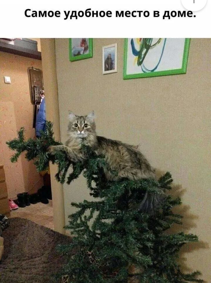 Самое удобное место в доме