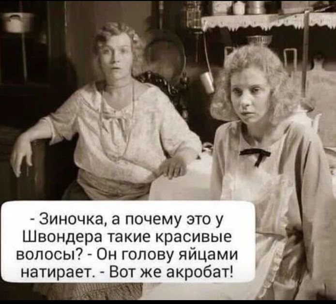 3иночка а почему это у Швондера такие красивые волосы Он голову яйцами натирает Вот же акробат