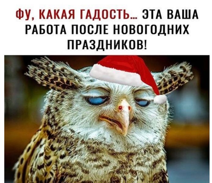 ФУ КАКАЯ ГАДООТЬ ЭТА ВАША РАБОТА ПОСЛЕ НОВОГОДНИХ ПРАЗДНИКОВ