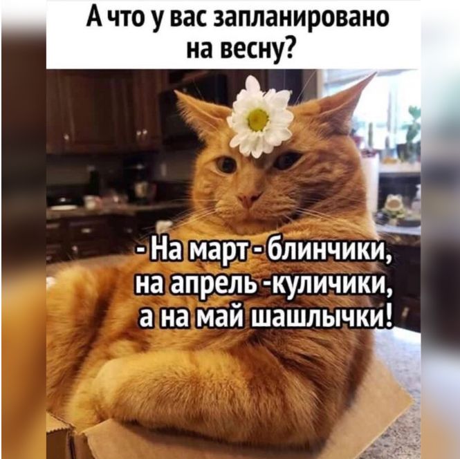 Ачто у вас запланировано на весну? Намарт блинчики, г нагапрель куличики, анамай шашлычки!