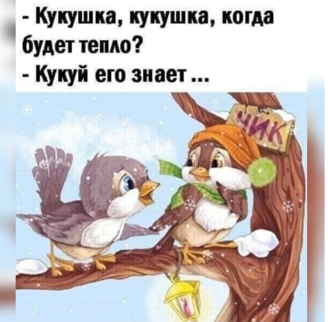 Кукушка кукушка когда будет тепло Кукуй его знает