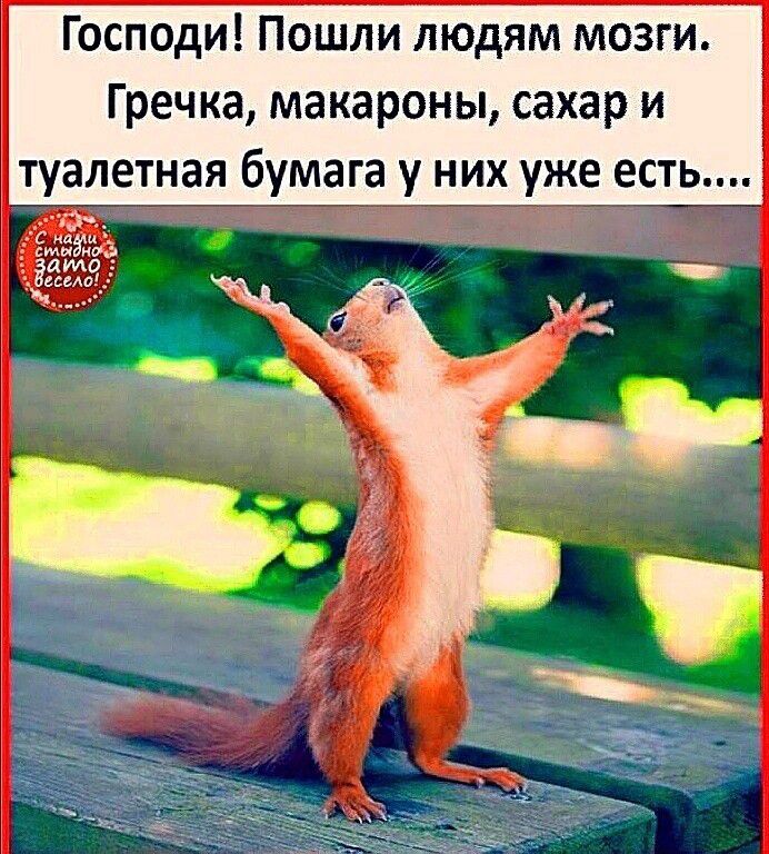 Господи Пошли людям мозги Гречка макароны сахар и алетная бумага у них уже есть
