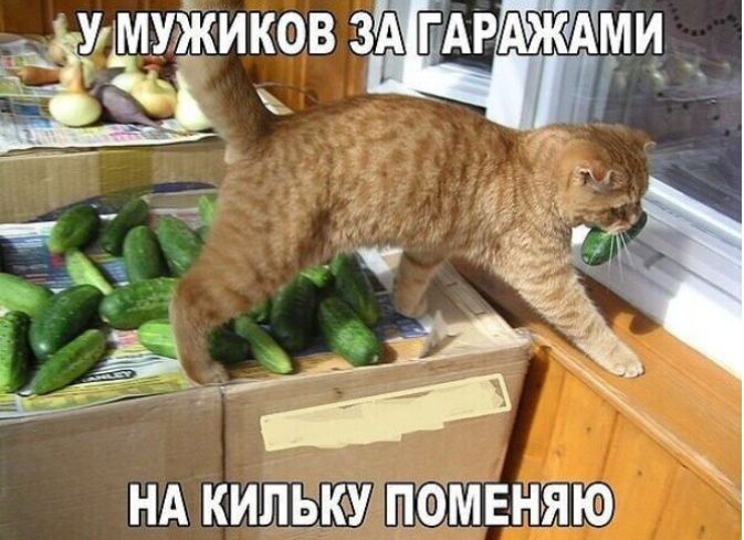 УМ УЖИКОВЗАГАРАЖА ми З НА КИПЬКУ ПМЕНЯКЭ