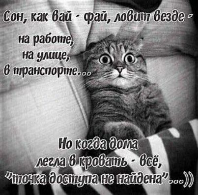 Би как бай фай м6ит6юде на работе на улице