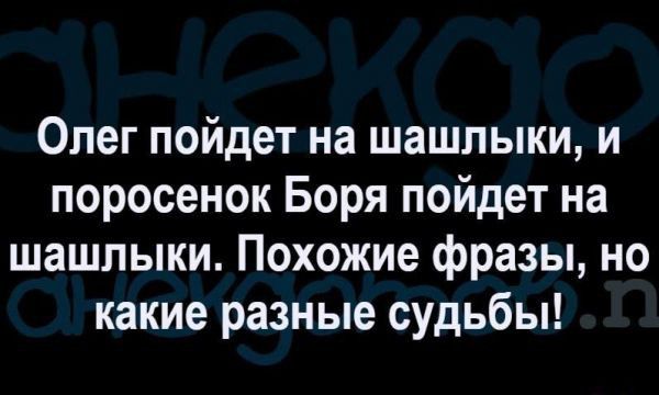 Олег пойдет на шашлыки и поросенок Боря пойдет на шашлыки Похожие фразы но какие разные судьбы