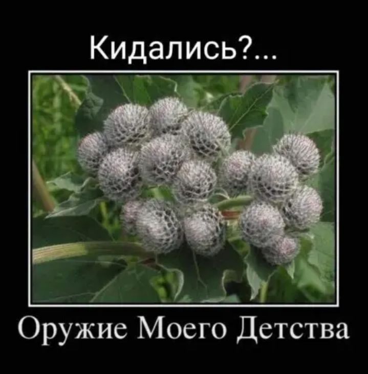 Кидались Оружие Моего Детства