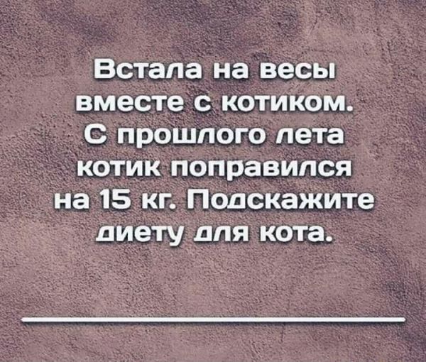 Встала на весы вместе с котиком _ С прошлого пета котик поправился на15кг Подскажите пиеіу для кота