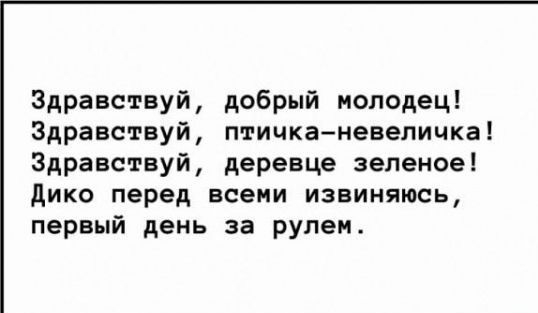 Здравствуй добрый молодец Здравствуй птичкаиевеличка Здравствуй деревце зеленое дико перед всеми извиняюсь первый день за рулем