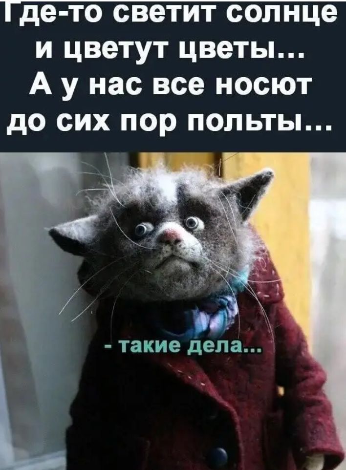 де то ОВЭТИТ солнце и цветут цветы А у нас все носют до сих пор польты в 00 такие дела