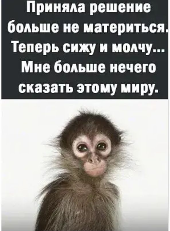 Приняла решение больше не материться Теперь сижу и молчу Мне больше нечего сказать этому пиру