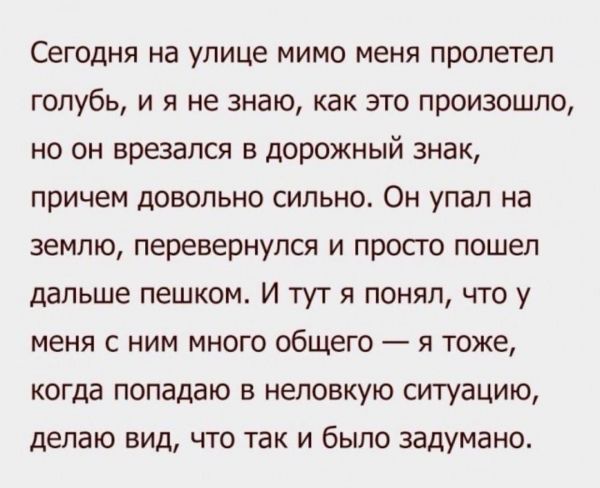 Сегодня на улице мимо меня пролетел голубь и я не знаю как это произошло не он врезался в дорожный знак причем довольно сильно Он упал на землю перевернулся и просго пошел дальше пешком И тут я понял что у меня с ним много общего я тоже когда попадаю в неловкую ситуацию делаю вид что так и было задумано