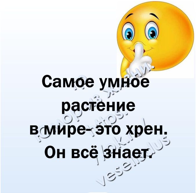 Самое ум в растение въпИреэто хрен Он всё стает гбц Х