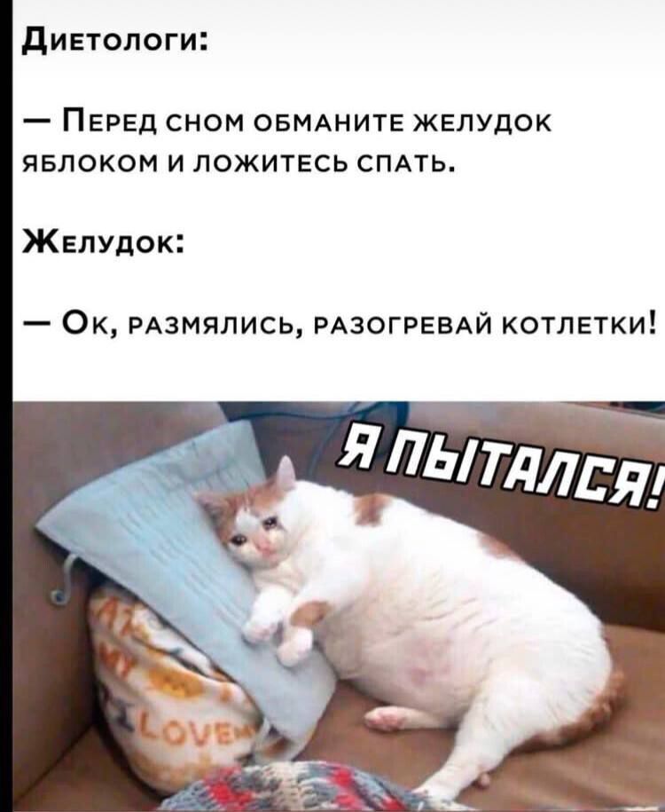 диетологи _ ПЕРЕД СНОМ ОБМАНИТЕ ЖЕЛУДОК явлоком и ложитесь СПАТЬ Жетдок Ок РАЗМЯЛИСЬ РАЗОГРЕВАЙ котлетки