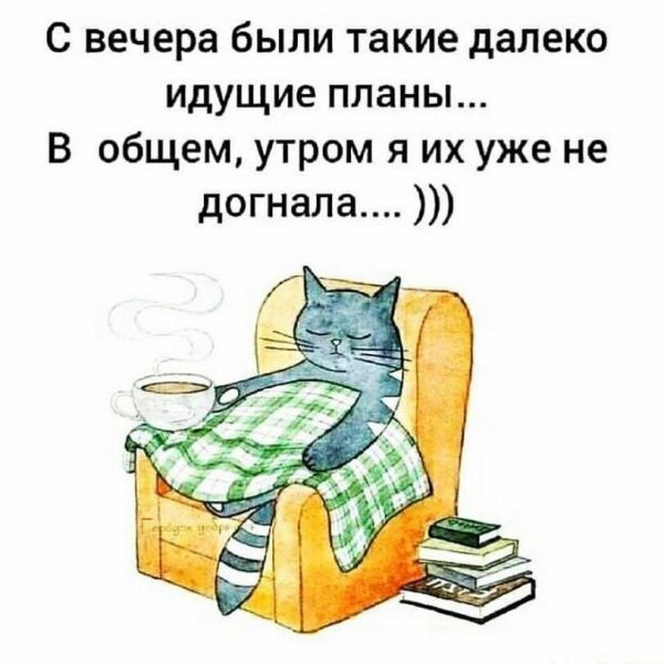 с вечера были такие далеко идущие планы В общем утром я их уже не догнала