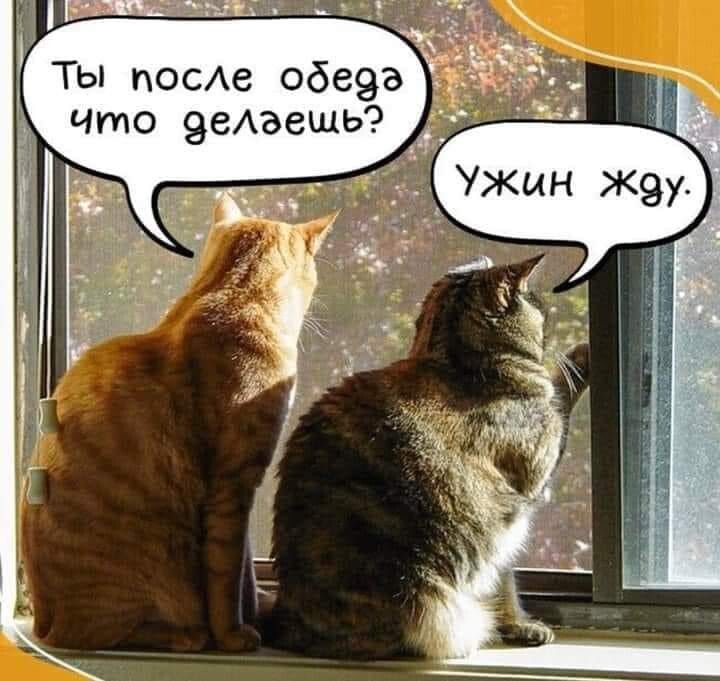 посе обе9 то эеАэешь