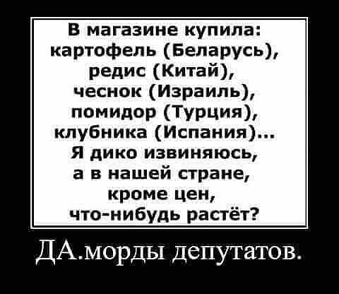 В магазине купила картофель Беларусь редис Китай чеснок Израиль помипор ТУРЦИЯ клубника Испания Я дико извиняюсь а в нашей стране кроме цен что нибудь растёт ДАМорды депутатов