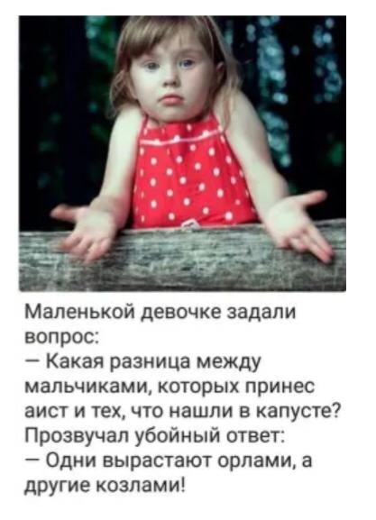 Маленькой девочке задали вопрос Какая разница между мальчиками которых принес аист и тех что нашли в капусте Прозвучал убойный ответ Одни вырастают орлами а другие козлами