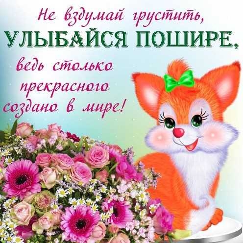 На лші фудНить УЛЬ1БСЯ ПОШИРЕ асдд сталса ЛЯС СЯЦСЫП 1 2