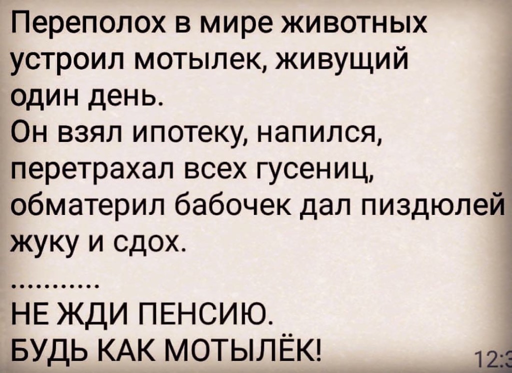 Переполох в мире животных устроил мотыпек живущий один день Он взял ипотеку напился перетрахап всех гусениц Ё обматерил бабочек дап пиздюпейё жуку и сдох д ди пенсию _вудь КАК мотылвкг