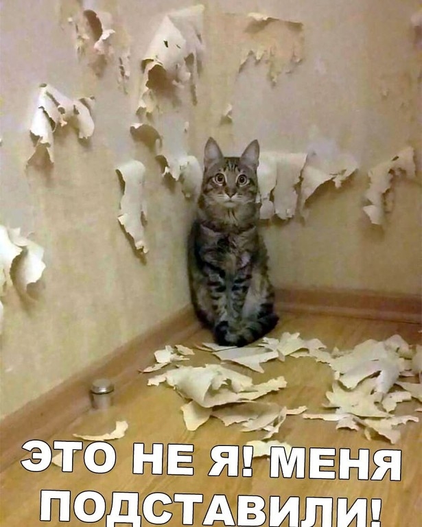 Ё ЁЁ ПСЁЁАВЩПГЯЦ