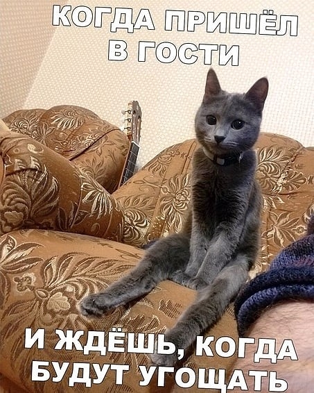 и ждЁЦБ коаё БУДУТ УГОЩАЁЁ_