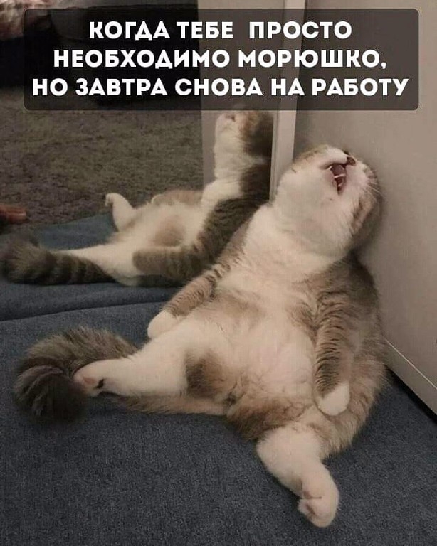 пгт КОГАА ТЕБЕ ПРОСТО НЕОБХОДИМО МОРЮШКО НО ЗАВТРА СНОВА НА РАБОТУ
