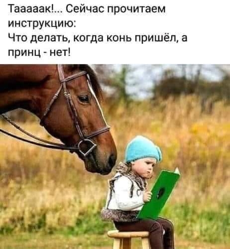 Тааааак Сейчас прочитаем инструкцию Что делать когда конь пришёл а принц нет