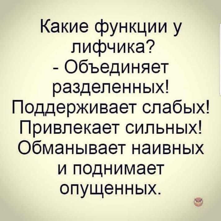 Какие функции у лифчика Объединяет разделенных Поддерживает слабых Привлекает сильных Обманывает наивных и поднимает опущенных