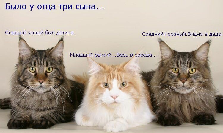Было у отца три сына Старший умный был детина Среднийчрозный Видно в деда