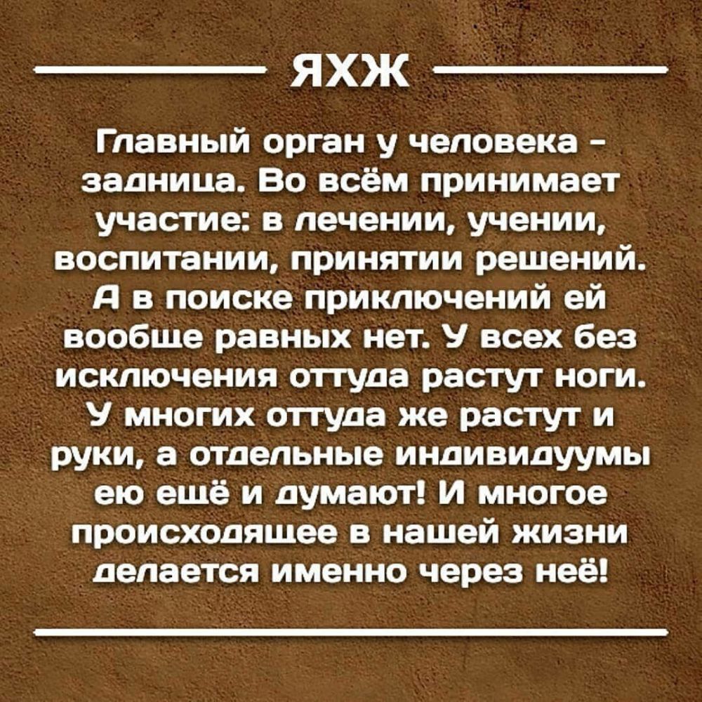 ЯХЖ Главный орган у человека задница Во всём принимает участие в лечении учении воспитании принятии решений д в поиске приключений ей вообше равных нет У всех без исключения оттуда растут ноги У многих оттуда же растут и руки а отдельные индивидуумы ею ещё и думают и многое происходящее в нашей жизни делается именно через неё