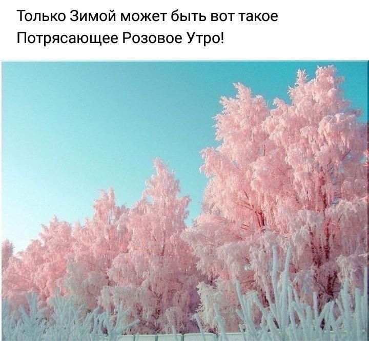 Только Зимой может быть вот такое Потрясающее Розовое Утро