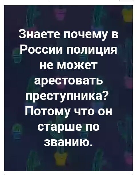 Знаете почему в России полиция не может арестовать преступника Потому что он старше по званию
