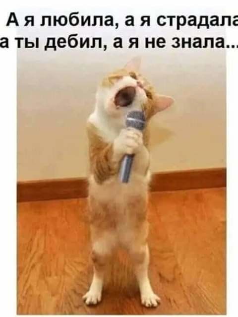 А я любила а я страдала а ты дебил а я не знала