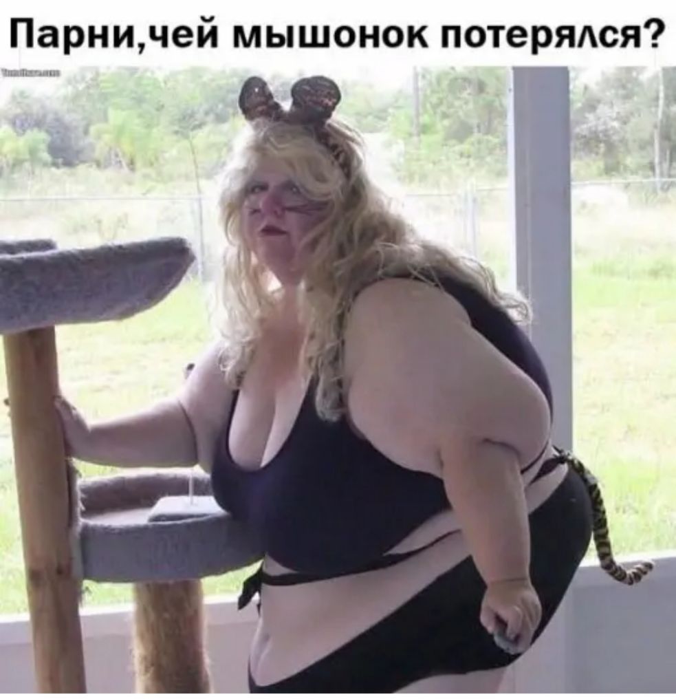 Парничей мышонок потерядся ип