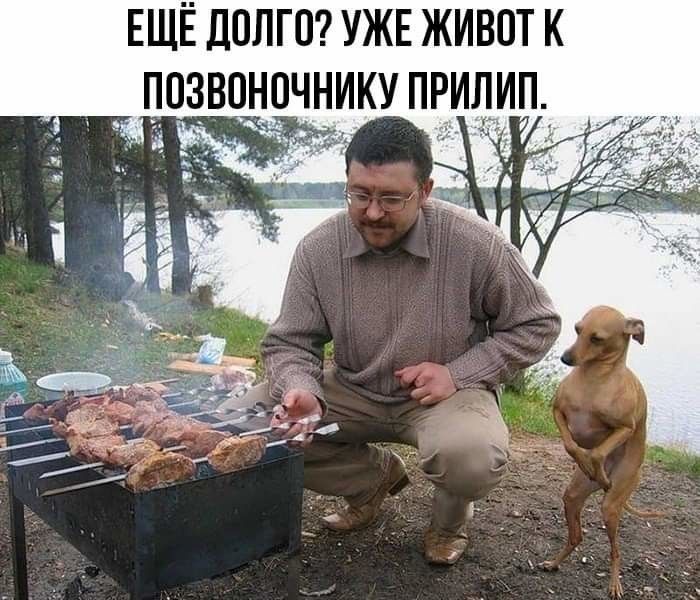 ЕЩЁ ДОЛГО УЖЕ ЖИВОТ К _ ПОЗВОНОЧНИКУ ПРИЛИП