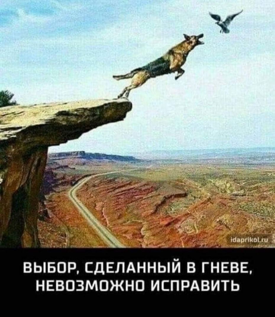 ВЫБОР СДЕЛАННЫЙ В ГНЕВЕ НЕВОЗМОЖНО ИСПРАВИТЬ
