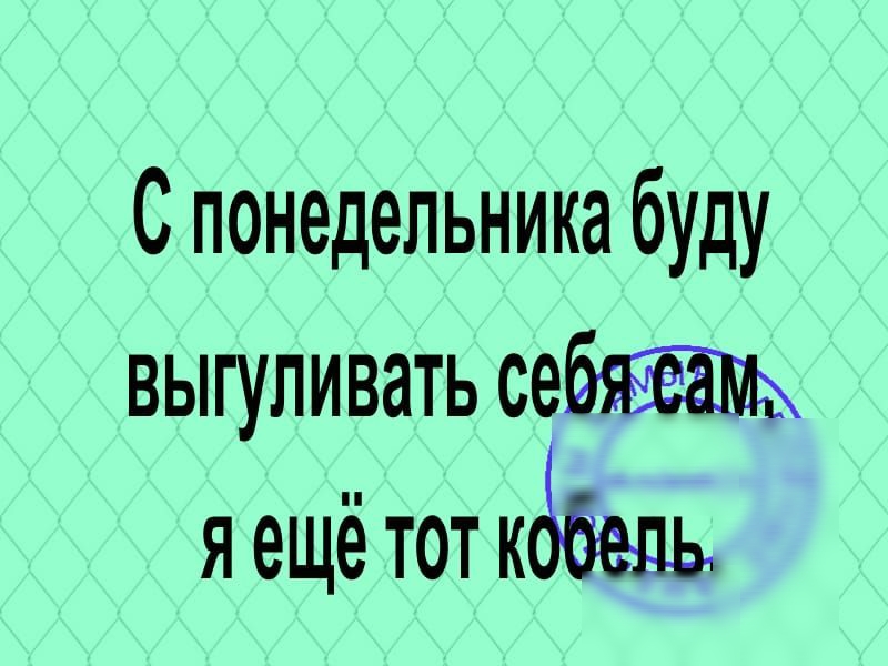 С понедельника буду выгуливать я ещё тот