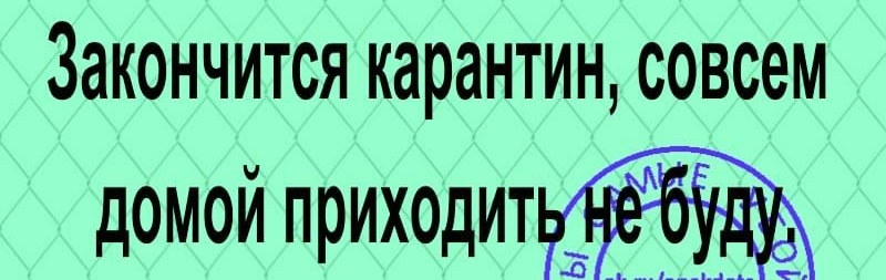 Закончится карантин совсем домой приходит