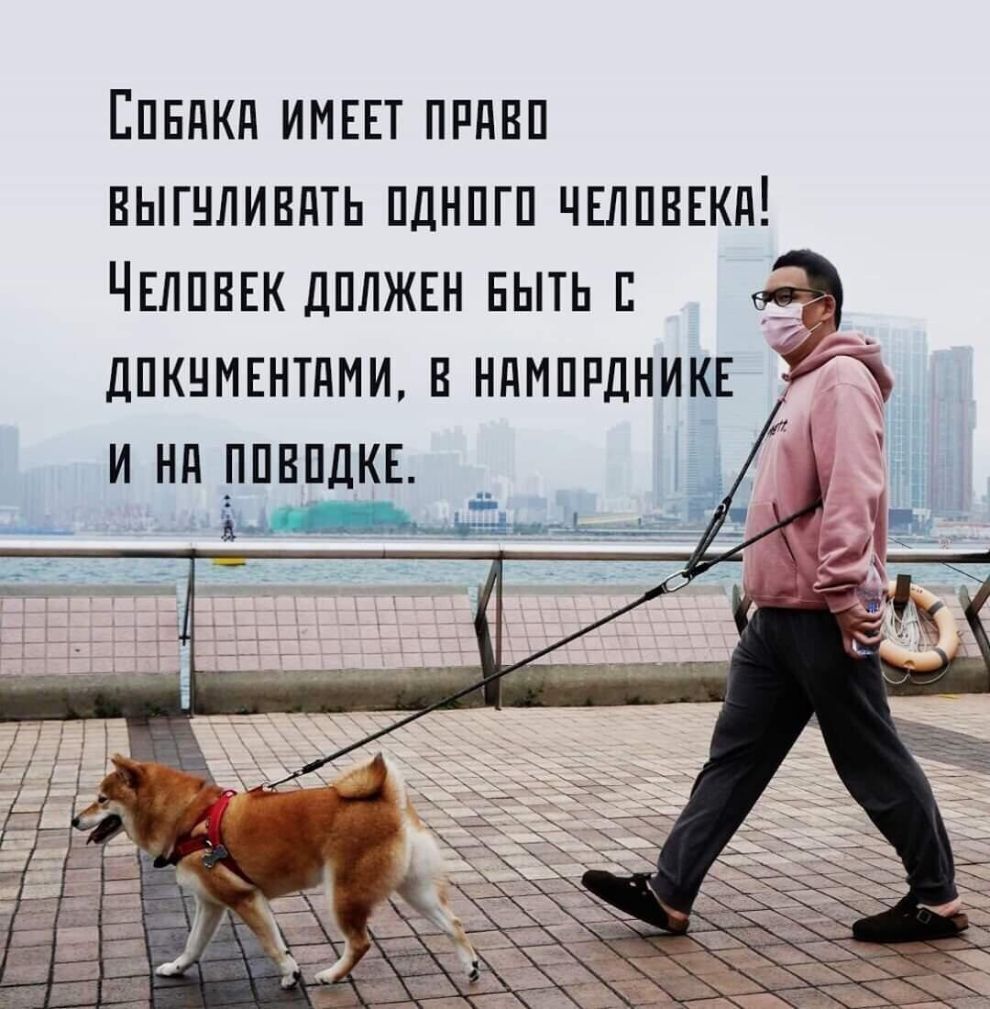 ЕПЕдКд ИМЕЕТ ПРПВП ВЫГНЛИВдТЬ ПДНПГП ЧЕЛПВЕКд ЧЕЛПВЕК дплжгн ныть дпкнмннтпми в ндмшщникн А И Нд РПВПДКЕ