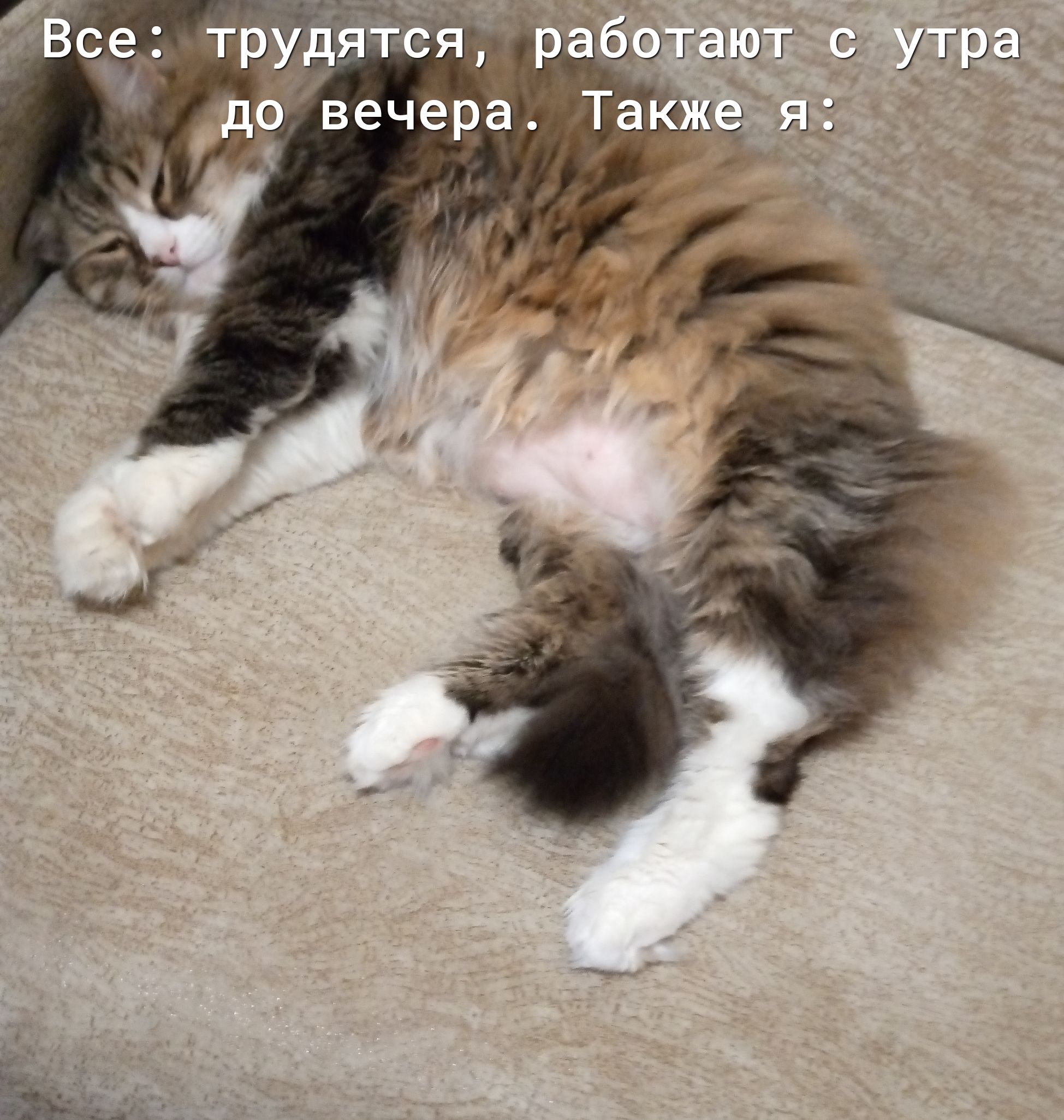 йіЯЁэтбтают утра д вечера Так Ні