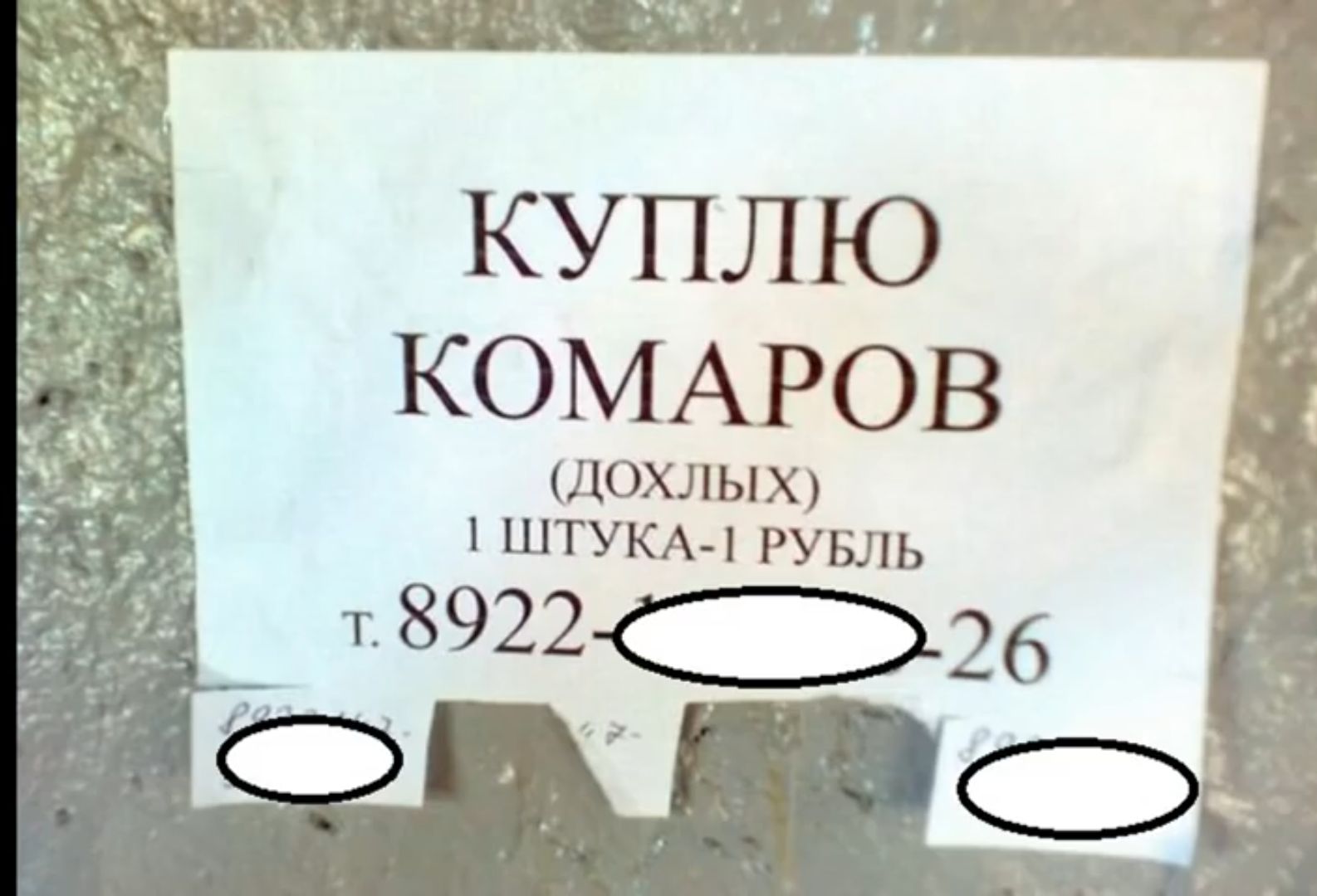 КУПЛЮ КОМАРОВ ДОХЛЫХ 1 штукхы рувль