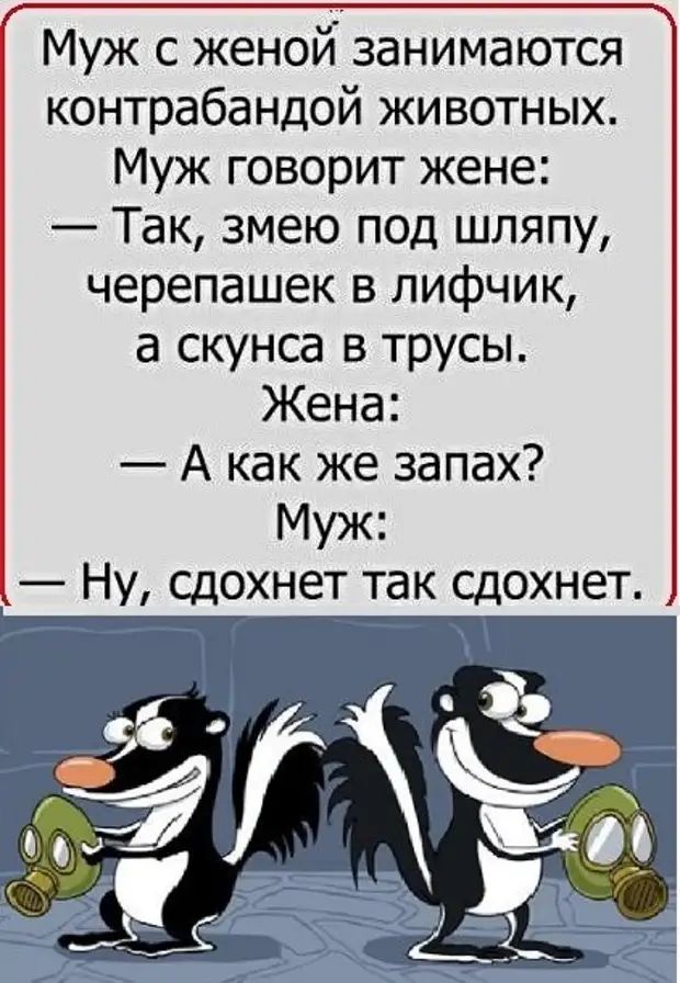 Муж с женой занимаются контрабандой животных Муж говорит жене Так змею под шляпу черепашек в лифчик а скунса в трусы Жена А как же запах Муж НУ Сд0хнет так сдохнет
