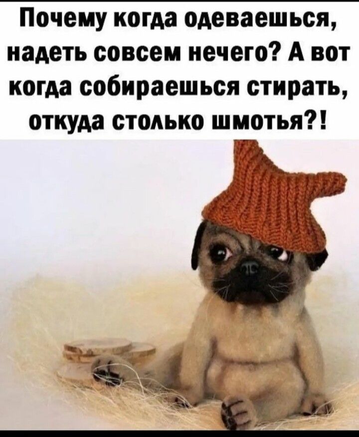 Почему когда одеваешься надеть совсем нечего А вот когда собираешься стирать откуда столько шмотья