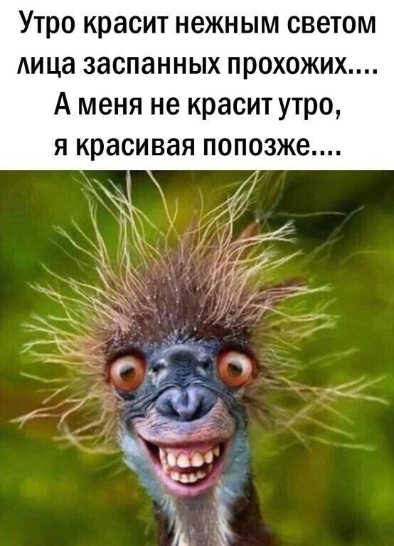Утро красит нежным светом Аица заспанных прохожих А меня не красит утро я красивая попозже