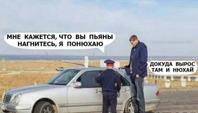 МНЕ КАЖЕТСЯЧТО ВЫ ПЬЯНЫ НАГНИТЕСЬЯ ПОНЮХАЮ докудА вырос ТАМ и нюхдй _