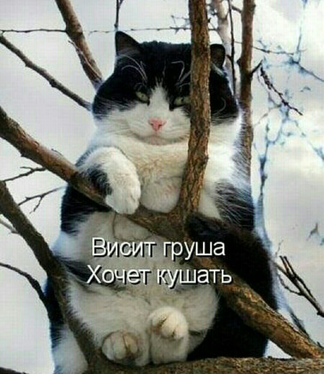 і 9 Н